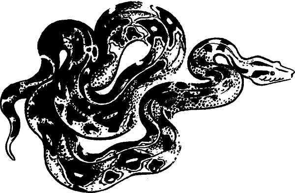 Что бывало (сборник) - i_046.png