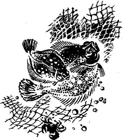 Что бывало (сборник) - i_063.png