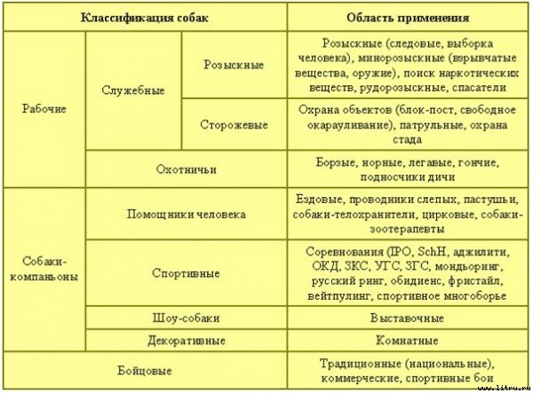 Лечебная кинология. Теоретические подходы и практическая реализация - pic_13.jpg