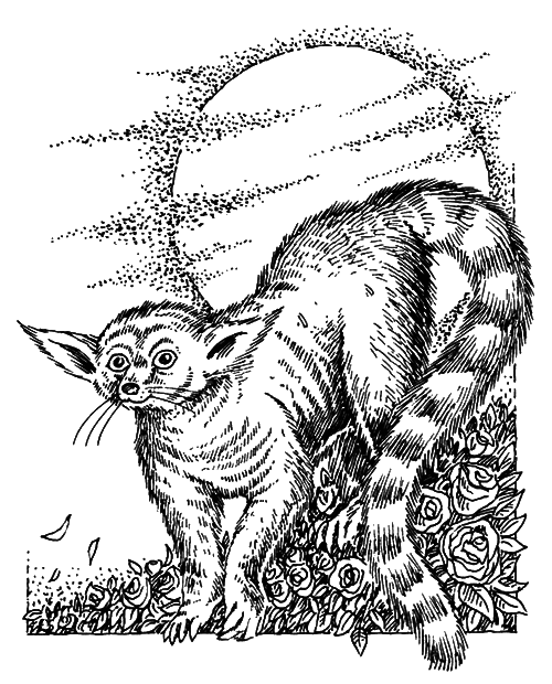 Темна вежа. Темна вежа VII - i_009.png