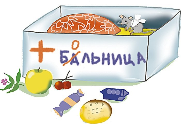 Одомашнивание кота Мурзика - i_012.jpg