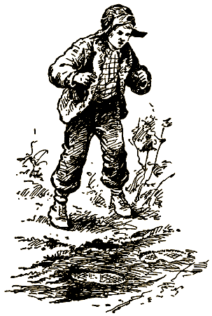 Тайна Золотой долины (др. изд.) - i_017.png