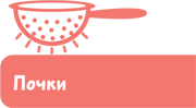 Как устроен человек - i_045.png