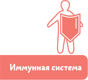 Как устроен человек - i_061.png