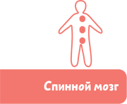 Как устроен человек - i_067.png