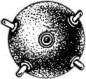 История корабля - i_131.png