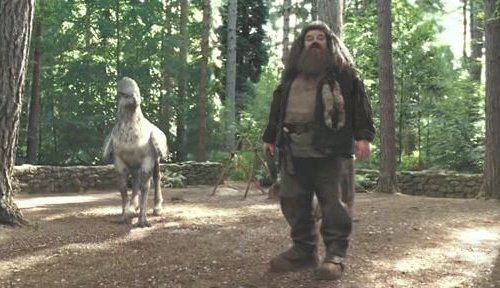 Гарри Поттер и узник Азкабана (с илл. из фильма) - i_029.jpg