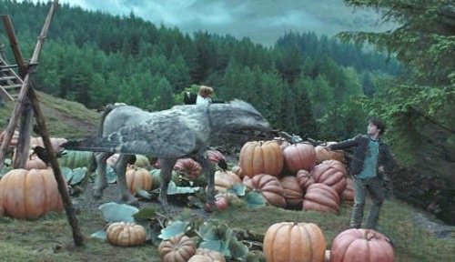 Гарри Поттер и узник Азкабана (с илл. из фильма) - i_086.jpg