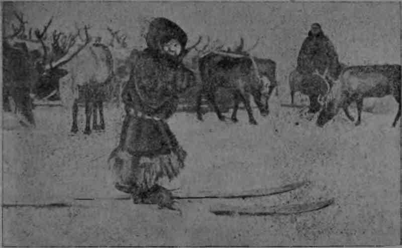 Полярная фактория - img_17.jpeg