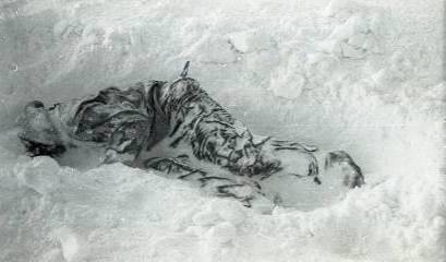 Тайна гибели группы Дятлова. Документальное расследование - i_022.jpg
