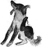 Неутомимый Морошкин - nonjpegpng__31.png