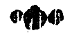 Рейс вдовы - i_003.png