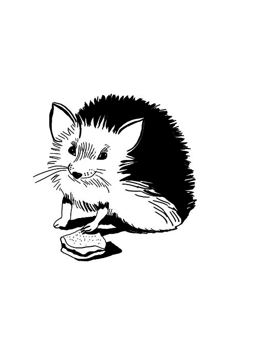 Ведьма Страны Туманов - i_032.png