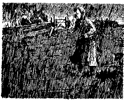 Жизнь зовет. Честное комсомольское - pic_10.png