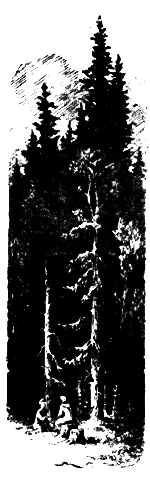 Жизнь зовет. Честное комсомольское - pic_28.png