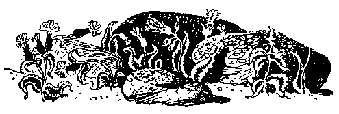 Преданье старины глубокой (худ. В.Лосин) - pic_53.png