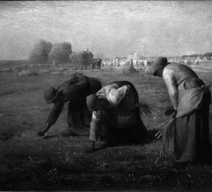 Твоя Конституция - i_039.jpg