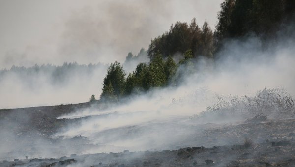 Основы безопасности жизнедеятельности. 7 класс - Fire_Torf.jpg
