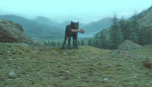 Гарри Поттер и Кубок огня (с илл. из фильма) - i_081.jpg