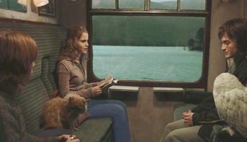 Гарри Поттер и Кубок огня (с илл. из фильма) - i_118.jpg