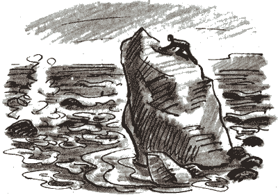 Там живут одни киты - i_015.png