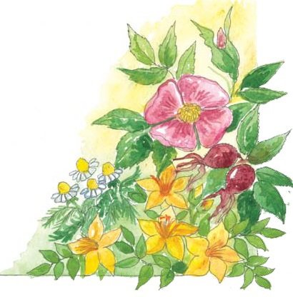 Лакцы. История, культура, традиции - i_052.jpg