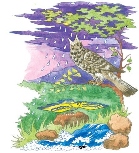 Лакцы. История, культура, традиции - i_054.jpg