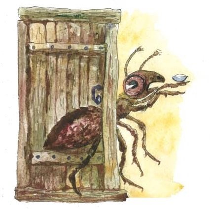 Лакцы. История, культура, традиции - i_059.jpg