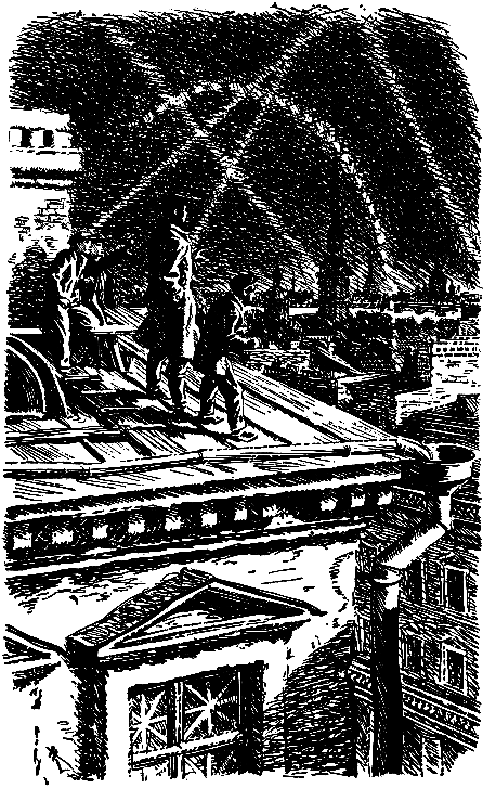 Тарантул (илл. Н. Кочергина) - pic_7.png