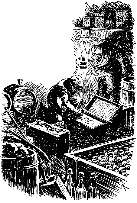 Тарантул (илл. Н. Кочергина) - pic_24.png