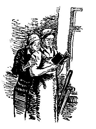 Тарантул (илл. Н. Кочергина) - pic_31.png