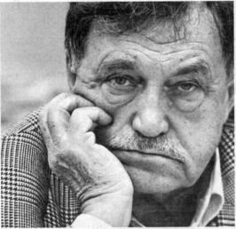 Советская литература. Краткий курс - Aksenov.jpg