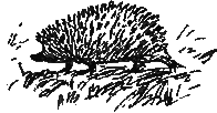 Трое отважных - i_026.png