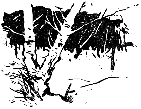 Рассказы о Вадике и Жене - i_013.png