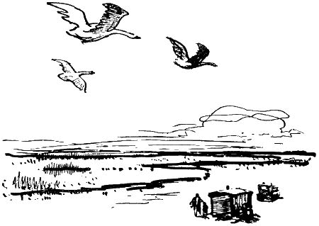 Колышек у вербы (Рассказы) - i_008.png