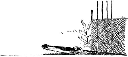Мальчишка ищет друга - i_014.png