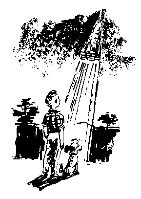 Голубые люди розовой земли (Рис. М. Скобелева и А. Елисеева) - pic_34.png