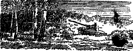 Разведчики (илл. В. Арцеулов) - pic_16.png