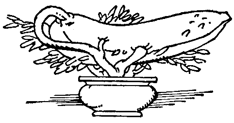 История, конца которой нет - pic_47.png