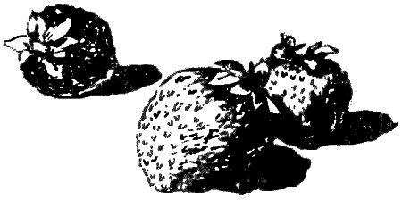 Открытие - i_005.png