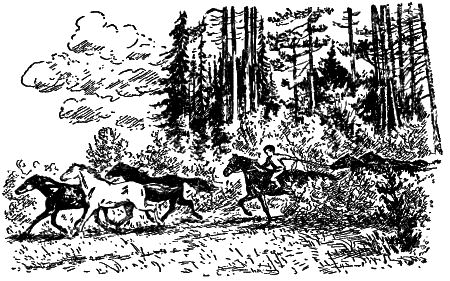 Открытие - i_009.png