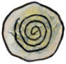 Волшебные сказки Ингушетии - i_057.png