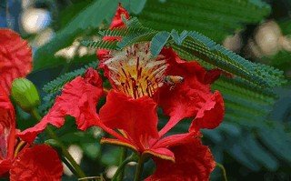 Старушки с зонтиками  - i_050.jpg