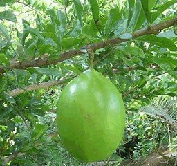 Старушки с зонтиками  - i_053.jpg