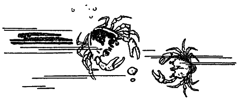 Том 1. Остров Погибших Кораблей - i_020.png