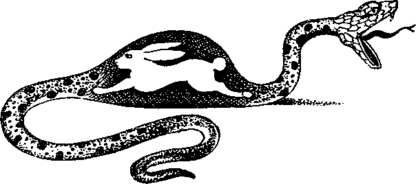Бегство от удивлений - doc2fb_image_03000006.png