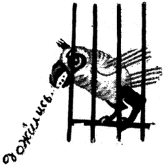 Том 1. Двенадцать стульев - i_044.png