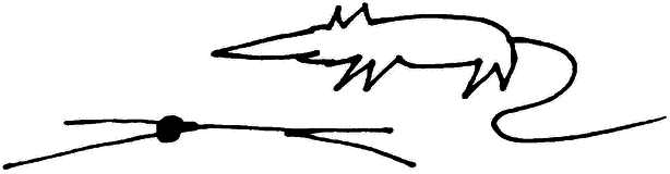 Неизвестный Нью-Йорк. История. Легенды. Предания - i_021.png