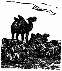 Том 1. В краю непуганых птиц. За волшебным колобком - i_035.png