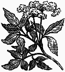 Том 3. Журавлиная родина. Календарь природы - i_001.png